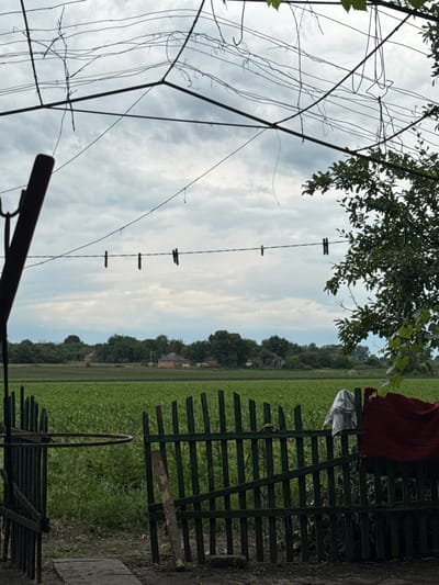 The image depicts an overcast sky above a rural landscape in Novyi Tahamlyk, Ukraine. In the foreground, a dark pole is visible on the left, with a simple green wooden fence in the lower half of the frame. Clothes, including a red blanket and a striped cloth, are draped over the fence. Beyond the fence, a vast field of green crops stretches towards a tree line in the distance. Several small houses with red roofs are scattered amongst the trees. Clotheslines with clothespins are strung across the middle ground. The overall scene conveys a rustic, everyday setting in a Ukrainian village.