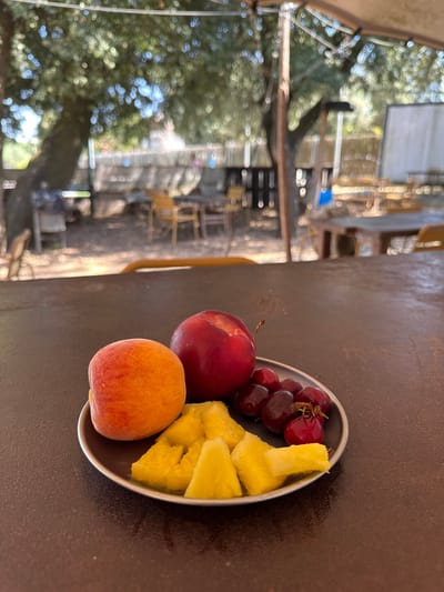 A close-up, angled shot shows a small, metallic plate filled with a variety of fruits. The fruits include a bunch of dark red grapes, several chunks of pineapple, a whole red plum, and a whole peach. The plate is positioned on a dark, textured surface, likely a table. In the background, the scene is blurred but appears to be outdoors, with lush green foliage, trees, and what looks like scaffolding or some sort of structure. The bokeh effect in the background suggests natural lighting and possibly a sunny day. The overall impression is a simple, healthy snack presented in a casual outdoor setting, possibly in a garden or patio area. No people are visible. The context provided indicates the location is l'Ametlla del Vallès, Spain.