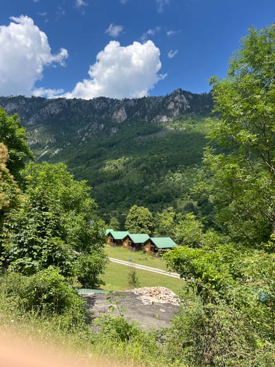 The image depicts a scenic view of a mountainous region with several wooden cabins nestled in a clearing. The cabins, uniformly designed with green roofs, are arranged in a row on a grassy area. A dirt road leads to them. The foreground is dominated by lush green foliage, with trees and bushes obscuring parts of the view. In the background, a majestic mountain range rises, its slopes covered in dense forest. The sky above is a vibrant blue, dotted with fluffy white clouds. The scene suggests a tranquil, rural setting, possibly a resort or a private retreat, in the vicinity of Crna Poda, Montenegro.