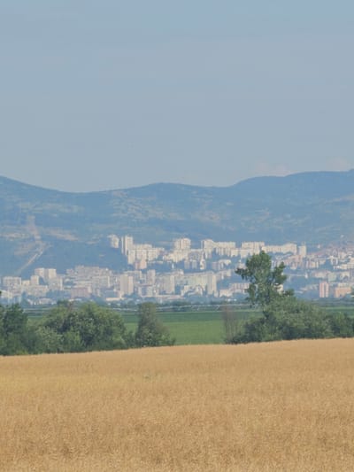 The image displays a panoramic view of the city of Kolarovo, Bulgaria, as seen from a distance across a vast field of golden-brown vegetation, likely ripe crops. In the foreground, the field occupies the majority of the lower frame. Beyond the field, a line of trees and vegetation forms a verdant transition zone. Further in the background, the city of Kolarovo sprawls across the landscape, a dense collection of buildings, predominantly light-colored, punctuated by some taller structures. The city is nestled at the base of rolling, hazy blue mountains that dominate the upper portion of the image, their slopes showing signs of vegetation and some discernible contours. The sky is a pale, cloudless blue, suggesting a clear, possibly warm day. No people or specific actions are visible in the scene, which focuses on the interplay between the natural landscape and the urban environment. The overall impression is one of a serene, somewhat distant view of a city integrated within its natural surroundings.