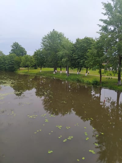 The image depicts a tranquil waterside park scene. A dark, calm body of water fills the foreground, dotted with numerous small, round lily pads. The water reflects the overcast sky and the lush green trees lining its bank. Beyond the water, a grassy embankment slopes gently upward, leading to a path where a single individual, wearing dark clothing, is walking away from the camera. A row of trees with white-painted lower trunks stands along the path, casting reflections in the water. The trees are dense with green foliage, suggesting a summer or late spring setting. The overall atmosphere is serene and natural, likely a public park or recreational area. The location is identified as the Gussevatka River embankment in Gusev, Russia.