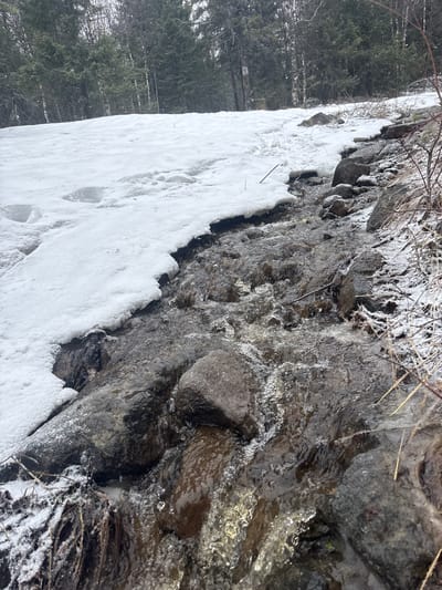 The image depicts a partially frozen, rocky stream in a forest. A thick layer of snow and ice covers a portion of the stream bed and banks, with visible footprints in the snow. Water flows over the rocks, some of which are covered in ice. Bare branches and vegetation are visible along the stream bank. Evergreen trees are visible in the background. The location of this scene is in Kachkanar, Russia.