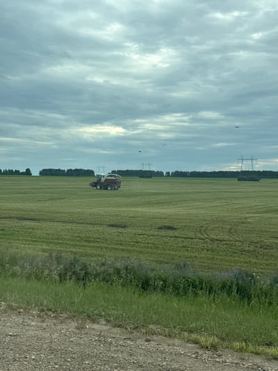 The image depicts a wide, flat agricultural field under a cloudy sky. In the middle ground, a red and white agricultural machine, possibly a combine harvester or forage wagon, is actively working in the field. The field itself is a uniform green with visible rows or patterns from recent harvesting or tilling. A distant tree line forms the horizon, with power line towers visible further in the distance. The foreground consists of a gravelly path bordering the field, with a strip of green vegetation. The sky is overcast with dramatic, textured clouds. There are a few birds visible in the sky. The location is identified as Udmurtskoe Kizekovo, Russia.