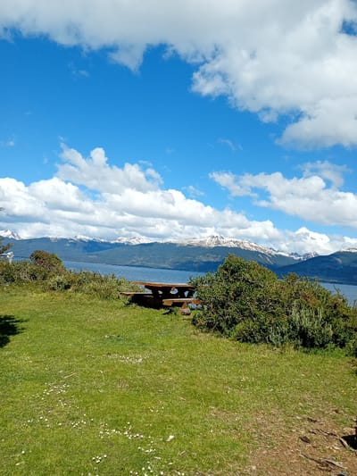 The image captures a beautiful panoramic outdoor landscape on a bright, clear day. The scene is dominated by a clear blue sky, fluffy white clouds, snow-capped mountains, a large body of water, and a verdant grassy foreground with a picnic table.
In the foreground, a vibrant green lawn slopes gently upwards from the bottom of the frame. Small white specks, possibly tiny flowers or debris, are scattered across the grass. To the far left, a shadowy area suggests the presence of another tree or object just outside the frame. The bottom right corner shows a patch of drier, earthier ground with visible roots, transitioning from the lush grass.
The mid-ground features a rustic wooden picnic table with attached benches, positioned slightly to the left of the center. It appears sturdy and weathered, suggesting frequent use. The table is strategically placed to offer a clear view of the expanse beyond. Surrounding the picnic table, especially to its right and partially obscuring it, are dense clusters of dark green bushes and shrubs, providing natural framing for the view. Another smaller bush or tree is visible on the far left edge of the mid-ground.
Beyond the grassy knoll and bushes, a vast body of calm, blue-grey water stretches across the frame, acting as a natural division between the immediate foreground and the distant mountains. The water reflects the light from the sky, appearing serene.
The background is dominated by a majestic mountain range. These mountains are characterized by dark, forested lower slopes and prominent, brilliant white snow caps on their peaks, indicating a high elevation or a cool climate. The mountains extend horizontally across the entire width of the image, forming a dramatic backdrop.
Above the mountains, the sky is a striking, vivid blue, interspersed with numerous white cumulus clouds. Some clouds are large and billowy, particularly in the upper left and right, while others are smaller and more scattered, adding depth and texture to the sky.
The overall impression is one of natural beauty and tranquility, likely a scenic overlook or a recreational area designed for enjoying the breathtaking views. The weather appears sunny and pleasant, suitable for outdoor activities. There is no visible text in the image.