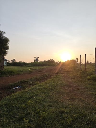 This image captures a rural landscape within Ang'orom ward, Kenya, illuminated by the low-angled sun, indicative of either sunrise or sunset. A wide, reddish-brown dirt path dominates the foreground, running from the lower left to the mid-right of the frame, with an intersecting, narrower dirt track visible on the left. Patches of green grass border these paths. A light-colored piece of discarded litter, possibly plastic, is visible on the left dirt path.

To the right of the main path, a fence constructed from weathered wooden posts strung with multiple strands of barbed wire extends into the midground. Beyond the paths and fence, the midground and background feature dense, green vegetation, including trees, shrubs, and taller grasses.

In the central background, an elevated structure, consistent with a water tower or observation platform, stands prominently. It features a top platform equipped with multiple dark rectangular panels, likely solar panels, with a darker tank or container structure positioned below them. To the far left, a partial view of a building with brown brick walls and a dark-colored roof is visible. The sky is clear, transitioning from a bright yellow-orange near the visible sun on the horizon to a pale blue overhead. No individuals, animals, or active human interactions are discernible within the frame.