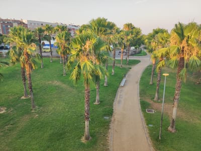 The image depicts a park scene with numerous palm trees under a clear sky, suggesting it is daytime, likely morning or late afternoon due to the warm lighting. The park features a winding dirt path that curves through the grassy area, bordered by palm trees. A few people are visible in the background, walking along the path and an area with buildings that appear to be apartments or houses. One person is pushing a stroller. A yellow vehicle, possibly a van or small truck, is parked near the buildings. A single park bench is positioned along the path, and a streetlamp stands near the edge of the grass. The ground is covered in green grass with patches of dry soil around the base of the palm trees. The overall atmosphere appears peaceful and tranquil.