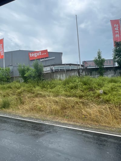 This is a photograph taken from a vehicle, likely in motion, of a commercial building in Lauterbach, Germany. The building appears to be a warehouse or a large retail store, with a gray, corrugated metal facade. A large red sign with white lettering reads "Tegut..." followed by smaller white text that says "gute Lebensmittel," indicating it is a grocery store.

To the left of the "Tegut..." sign, a red flag with white lettering is visible, though the text is partially obscured. To the right of the building, another red flag with white lettering is prominently displayed, reading "SALE" vertically. Further to the right, a portion of another sign with red and white lettering is visible, with the letters "SPELL" decipherable.

The building is set back from the road, separated by a concrete wall and a dense area of overgrown vegetation. The foreground of the image shows a wet asphalt road, suggesting it may be raining or has recently rained, with puddles and reflections visible on the surface. The sky is overcast and cloudy, contributing to a muted lighting condition. A tall, thin flagpole stands near the center of the image, its top lost in the sky. In the overgrown area, a small white marker with black lettering "OD" is visible. Trees and shrubs are present around the building and in the vegetated area.