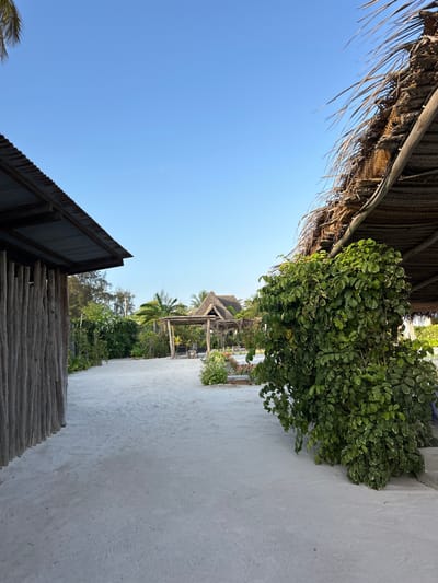 This image depicts a serene outdoor scene, likely within a resort or village in Kiwengwa, Tanzania. The bright daylight illuminates a pathway leading into the distance, flanked by lush tropical vegetation and traditional structures under a clear blue sky.
In the upper left foreground, a section of a thatched roof made from natural fibers extends into the frame, suggesting an overhead shelter or part of a building. Below this, on the left side, another structure with a dark, corrugated metal roof is partially visible. The ground surface is a light-colored, possibly sandy or paved, path that appears smooth and well-maintained.
A prominent feature on the right side of the path is a large, vibrant green bush with dense foliage, adding a burst of natural color to the scene. In the middle ground, several buildings with distinct thatched roofs and wooden support beams are nestled among abundant tropical trees and distant palm fronds. These structures likely serve as accommodations or communal spaces within the resort setting.
The scene is devoid of people, conveying a sense of tranquility and quietude. The clear blue sky and strong light indicate it is daytime, likely a sunny morning or afternoon. The architectural style, combined with the tropical flora, strongly anchors the location to a warm, coastal environment. No visible text is present in the image.