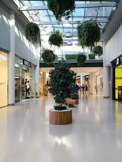 The image shows the interior of a modern shopping mall, likely located in Nola, Italy, as indicated by the provided context. The mall features a high, glass-paneled ceiling that allows natural light to illuminate the spacious, polished white floor. Hanging planters filled with lush green foliage are suspended from the ceiling, adding a natural element to the architecture.
In the foreground, a large, artificial tree is centrally placed within a cylindrical wooden planter, also containing white decorative stones. Beside the planter, there are two small wooden benches.
Several storefronts are visible along the sides of the mall. On the left, there's a store with a large illuminated sign reading "MILLIA" and another store with a sign that says "SORECA". The "SORECA" store has a glass facade displaying mannequins dressed in clothing. Further down the mall, on the right side, are stores labeled "EXTASY" and "JD".
A few people are dispersed throughout the mall, appearing to be shoppers. On the left, near the "SORECA" store, two women are looking at a display. Further down, towards the center-right, a group of three people, two men and a woman, are walking away from the camera. Another person, a woman, is walking towards the camera in the distance.
The overall impression is of a clean, well-lit, and contemporary retail environment with a focus on incorporating greenery to enhance the ambiance.