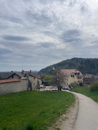 A hillside scene in Skofja Loka, Slovenia is depicted from a slightly elevated position. Stone buildings with red tile roofs occupy the lower left, transitioning to a grassy area with yellow wildflowers and a path made of light-colored gravel to the right. A mix of tan and red-roofed buildings line the slope leading to a forested hill. A cloudy sky fills the background.