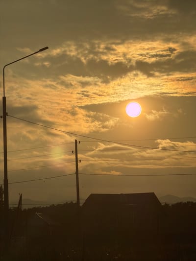 This photograph captures a sunset in Aniva, Russia. The sky is filled with golden clouds, with the sun appearing as a bright, pinkish-white orb. In the foreground, silhouetted against the bright sky, are utility poles with wires, and the dark outlines of a house and other structures. The lower portion of the image shows the dark silhouettes of grass and vegetation. The overall impression is one of a rural or semi-rural setting during twilight.
