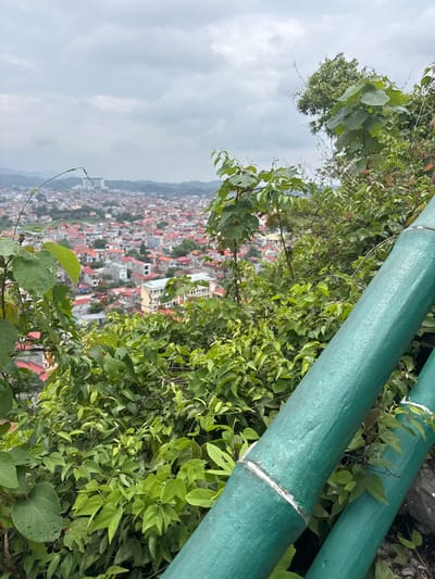 The image is a vertical, eye-level shot showcasing a lush green hillside overlooking a dense urban settlement in Tam Thanh Ward, Vietnam. The foreground is dominated by abundant green foliage and two thick, emerald-green pipes that appear to be made of bamboo and wrapped in a protective covering. These pipes are positioned diagonally, running from the upper right to the lower left of the frame, and are partially obscured by the surrounding vegetation.

Beyond the greenery, a sprawling city unfolds. Numerous buildings with red and grey rooftops are densely packed, stretching as far as the eye can see towards the horizon. Some taller, lighter-colored buildings are visible within the cityscape, suggesting a mix of residential and possibly commercial structures. The overall impression of the city is one of density and scale.

The sky above is overcast with soft, diffused light, indicating a cloudy or possibly hazy day. The time of day is difficult to ascertain precisely due to the cloud cover, but it appears to be daytime. The scene suggests a peaceful, natural setting contrasted with the bustling urban environment below. There are no people or animals visible in the frame, and no visible text. The composition creates a sense of depth, with the foreground foliage and pipes framing the distant city view.