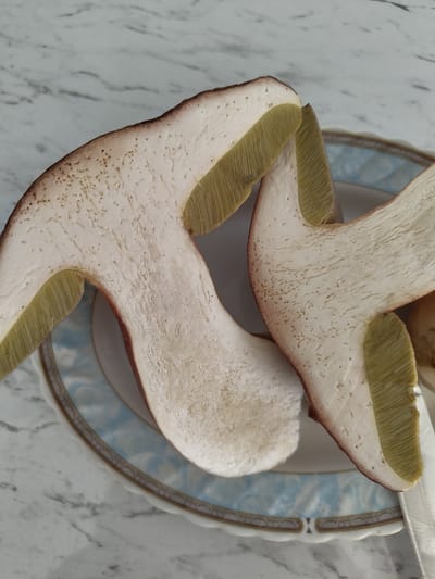 Two halves of a cut mushroom are displayed on a decorative plate. The mushroom flesh is white with a faint yellowish tinge, and the porous underside, often called the hymenium, is a pale olive green with visible vertical lines. The outer edge of the mushroom cap shows a reddish-brown hue. The plate is white with a blue floral pattern and a gold rim. The background is a marble-patterned surface. The image was taken in Pletena, Bulgaria.