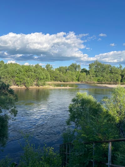 This is a landscape photograph taken in Khor, Russia, depicting a wide river with lush green trees lining its banks. The sky is a vibrant blue, dotted with fluffy white clouds. In the middle distance, a person and a dog are visible on a sandy patch in the river. The foreground shows dense green foliage and a metal railing, suggesting the vantage point is from a higher elevation or a structure overlooking the river. The water appears calm with ripples indicating a gentle current. A utility pole is visible in the background on the right side of the image.
