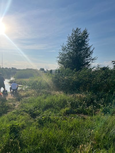 Two individuals are present, fishing by the edge of a body of water. One person, seen from behind, is standing and facing the water, while the other is seated on a low stool, also facing the water. Both appear to be engaged in fishing. The environment is natural, characterized by abundant green grass and tall reeds or cattails growing along the water's edge. A large tree stands prominently in the background, and the sky is blue with scattered clouds. The sun is shining brightly, creating a lens flare effect in the upper left portion of the image. In the distance, there are some structures, possibly sheds or buildings, and more vegetation. The overall scene suggests a serene, outdoor setting.