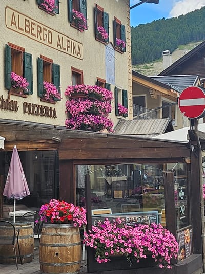 In Livigno, Italy, a building facade displays a sign for "ALBERGO ALPINA" and "PIZZERIA" above a storefront. The building is adorned with numerous window boxes filled with vibrant pink and red flowers. Green shutters are visible on some of the windows. Outside the pizzeria, two wooden barrels serve as planters, one overflowing with pink and red flowers. A light pink umbrella is set up next to a table and chairs. The scene is set against a backdrop of a lush green forest covering a mountain slope under a cloudy sky. A red and white circular "no entry" sign is posted on a pole to the right of the building.