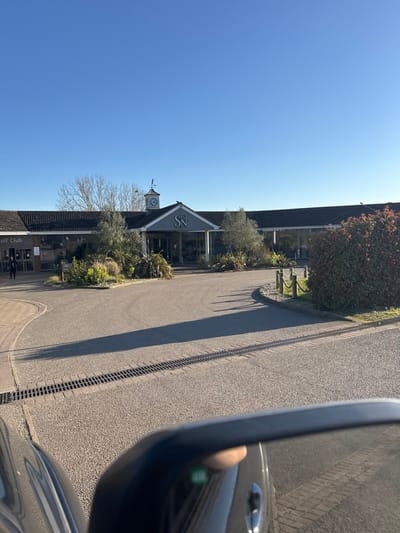 The image depicts the front entrance of the Stoke by Nayland Hotel, Golf & Spa, located in Stoke-by-Nayland, within the district of Babergh, United Kingdom. The scene is illuminated by clear sunlight, casting long shadows across the asphalt driveway, suggesting a morning or late afternoon timeframe. The perspective is from a dark-colored vehicle, with its side mirror visible in the lower right foreground, showing a green indicator light in its reflection.
The main building is a multi-section structure featuring a dark tiled roof and extensive glass windows. A central gray facade marks the entrance, displaying a prominent light-colored "SN" logo. Above this, a small clock tower houses a circular clock face and is topped with a weathervane. To the left of the main entrance, a sign on the building clearly reads "Golf Club." One individual in dark clothing is partially visible standing or walking on the far left, near the "Golf Club" sign.
The driveway leading to the entrance is composed of asphalt with integrated paved sections and a metal drainage grate running horizontally across the mid-ground. Landscaped areas and planters containing various shrubs, small trees, and flowering plants are positioned around the building's base and within the driveway's curving layout. Wooden posts with ropes form a barrier along the edge of the driveway to the right.