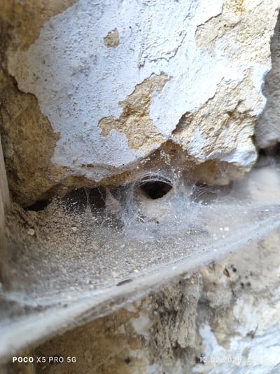 A close-up, low-angle shot shows a section of a rough, weathered stone wall with peeling white paint. In the crevice between two stones, a spiderweb is visible, catching dust and debris. A small, dark hole, possibly an entrance to a burrow or crack, is visible within the webbed area. The lighting suggests an outdoor environment. The bottom left of the image displays "POCO X5 PRO 5G" and the bottom right displays "12.07.2026 13:58". The scene is located in Lypivka, Ukraine.