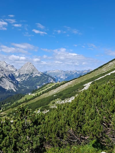 A wide-angle, eye-level shot captures a mountainous landscape under a bright blue sky with scattered white clouds. The foreground is dominated by dense, green pine trees with visible branches and needles. A trail winds its way up the side of a grassy, rocky slope, which is also sparsely populated with similar pine trees. In the mid-ground, more expansive mountain ranges rise, featuring jagged peaks and forested valleys. Two small, white buildings with dark roofs are visible on the slopes, likely part of a mountain resort or station. The background consists of layered mountain ranges stretching towards the horizon. The image is a landscape photograph taken in the Mieming, Austria region.