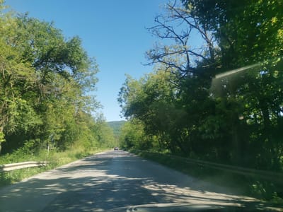 The image shows a straight asphalt road running through a forested area. The road is lined with trees on both sides, forming a canopy overhead. The sky is clear and blue. A car is visible in the distance on the road. The road has a guardrail on the right side. The scene appears to be captured from inside a vehicle, with part of the dashboard visible at the bottom of the frame.
The location is Gorna Vasilitsa, Bulgaria.