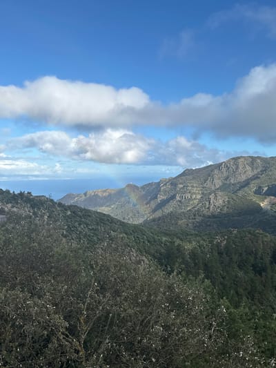 This image captures a panoramic view of the rugged, verdant landscape surrounding San Sebastián de la Gomera, Spain, likely from an elevated vantage point on the island of La Gomera. The sky occupies the upper third of the frame, featuring a clear blue expanse dotted with scattered white cumulus clouds. Below the cloud line, the Atlantic Ocean is visible on the distant horizon, appearing light blue and calm.
The dominant features are multiple layers of steep, undulating mountains and valleys, heavily forested with dense green vegetation, primarily trees and shrubs. The terrain exhibits varied textures, with exposed rocky outcrops visible on some slopes. A distinct rainbow arc is present in the mid-ground, spanning a valley between two mountain ridges, with its base seemingly anchored near a distant, lighter-colored peak. A tall, thin communications tower, dark against the sky, stands on a ridge to the left of the rainbow's center. Further right, a winding, light-colored road is visible traversing a distant mountain slope. The immediate foreground is filled with the dark green foliage of broadleaf shrubs and trees, some with lighter-colored leaves or small white blooms, partially obscuring the lower portions of the distant landscape. No people or animals are visible, and no specific actions or interactions are depicted. The scene is illuminated by natural daylight, casting shadows that suggest the sun is positioned to the left or front-left of the observer.