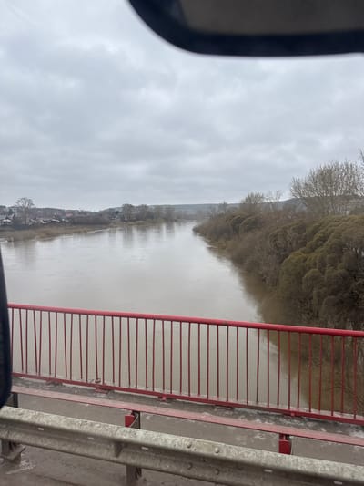 This image captures a wide, murky river scene on an overcast day, viewed from what appears to be a bridge. The sky is a uniform dull gray, indicating heavy cloud cover or possibly fog, contributing to a muted color palette across the landscape.
In the foreground, on the right side, a prominent red metal bridge railing extends horizontally across the frame. Adjacent to it, a concrete barrier or guardrail of the bridge is also visible. A dark, blurry element on the far left, likely part of a vehicle's interior or side mirror, suggests the photograph was taken from a car or similar transport.
The river itself is broad and appears high, with a brownish-gray, turbid color, possibly due to recent rainfall or sediment. Its surface is relatively calm, reflecting the overcast sky faintly. Along the riverbanks, particularly on the left, a mix of bare trees and some sparse vegetation can be seen. Further along this bank, several small buildings or houses are scattered, indicating a small settlement.
The opposite bank is heavily forested, with numerous trees, mostly deciduous and appearing bare or with very minimal foliage, suggesting late autumn, winter, or early spring. These trees extend up into the distant hills or mountains, which are visible through a slight atmospheric haze. The general impression is one of a serene, possibly rural or semi-rural, landscape in Filippovka, Russia, under somber weather conditions. There is no visible text in the image.