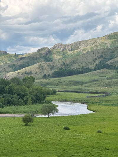 The image depicts a wide, winding river flowing through a lush green valley in Anchyl-Chon, Russia. The river is bordered by dense trees on the left and a gently sloping, grass-covered hillside on the right. The hillside is dotted with scattered trees and in the distance, appears to merge with larger, rugged mountains. A low, weathered wooden fence snakes its way across the grassy expanse, dividing the valley. Several cows are visible grazing near the fence in the middle ground. The sky above is overcast with dramatic, textured clouds. The overall impression is one of a remote, natural landscape bathed in soft, diffused light.