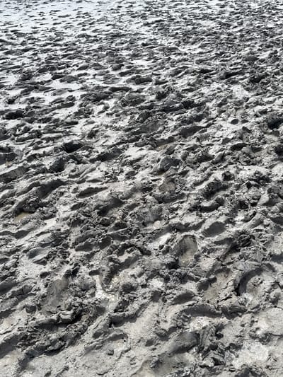 The image shows a close-up, high-angle view of a muddy, uneven surface, likely a beach or tidal flat in Бурсоль, Russia. The ground is heavily textured with numerous footprints and what appear to be tire tracks, indicating recent activity. The mud is wet and somewhat reflective in places, with small puddles of water present. The overall color palette is monochromatic, dominated by shades of grey and white, suggesting overcast conditions or the natural color of the soil and wet sand. The density of the tracks implies a significant amount of foot and vehicle traffic.