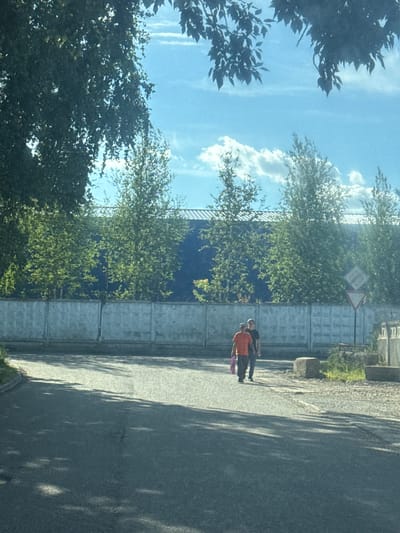 The image depicts an outdoor scene on a paved road with some debris and vegetation along the side. A concrete wall extends horizontally across the midground, separating the road from a dark blue building visible behind it, which is partially obscured by numerous trees with green foliage. The sky is blue with scattered white clouds and sunlight filters through the leaves of a large tree in the foreground, casting shadows on the road. Two individuals are walking away from the camera on the right side of the road. The person in front wears an orange t-shirt and dark pants, carrying a pink bag in their left hand. The person behind them wears a dark t-shirt and dark pants. A traffic sign with red and white triangular and diamond shapes is visible on a pole to the right of the individuals. The scene is identifiable as being on the territory of the industrial zone in Gol’yovo, Russia, based on its characteristic architectural and environmental features.
