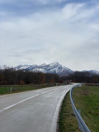 The image depicts a rural mountainous landscape in Grab, Bosnia and Herzegovina, under an overcast sky. A two-lane asphalt road, appearing damp, dominates the foreground and mid-ground, curving gently to the right as it recedes into the distance. A continuous white line marks the left edge of the road.

To the right of the road, a silver metal guardrail runs parallel to the curve, separated from the pavement by a narrow strip of green and dry grass. To the left of the road, a wider expanse of green grass with some brown patches is visible, featuring a simple fence line with wooden posts. Further left, and extending across the mid-ground behind the road, is a dense band of deciduous trees with bare, dark brown branches, indicative of late autumn or winter. Some scattered trees retain remnants of reddish-brown foliage.

In the background, beyond the trees, a range of mountains rises, their upper slopes and peaks covered in white snow. The sky above is entirely overcast with varying shades of light grey clouds. No people, vehicles, or animals are visible in the scene. A small, dark utility box, a pole with what appears to be a small solar panel, and a circular road sign are visible on the left side of the road further into the curve. A white reflective road marker post is also present on the left near the foreground.