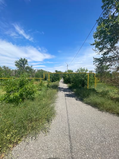 An eye-level, vertical, outdoor shot captures a paved pathway receding into the distance, flanked by lush green vegetation and a bright blue sky with scattered clouds. Prominently featured is a bright yellow gas pipeline supported by vertical posts, running parallel to the path on both sides and overhead. The pathway is asphalt, showing some cracking and a dark shadow cast by an unseen object to the left. To the right of the pathway, a large tree with green foliage partially obscures the sky. The overall scene suggests a rural or suburban setting within the city of Znamensk, Russia, possibly a park or a residential area. No people are visible in the frame.