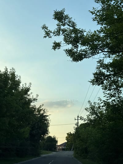 An eye-level, medium shot captures a rural road in Nizhne-Chufichevo, Russia, as seen from a vehicle's perspective. The road curves gently to the left, with its surface visible in the lower portion of the frame, leading towards a distant settlement. Lush, dark green foliage lines both sides of the road, with trees overhanging the path. A few sparse clouds are visible in the pale blue sky, which transitions to a warmer yellow hue near the horizon. A telephone pole with wires stretches across the mid-ground, and in the distance, a few houses with red-tiled roofs are discernible. The scene is set during daylight, likely late afternoon or early evening, given the soft, diffused lighting. No people or animals are present in the image.