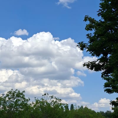 The image depicts a bright, clear blue sky with scattered cumulus clouds. Lush green trees with dense foliage form a visible border along the bottom of the frame. On the right side of the image, the branches of a large, mature tree with dark green leaves extend into the sky. In the distance, the tops of other trees and a lamppost are visible above the tree line. The scene appears to be an outdoor environment in Rastatt, Germany, characterized by natural elements under a sunny sky.
