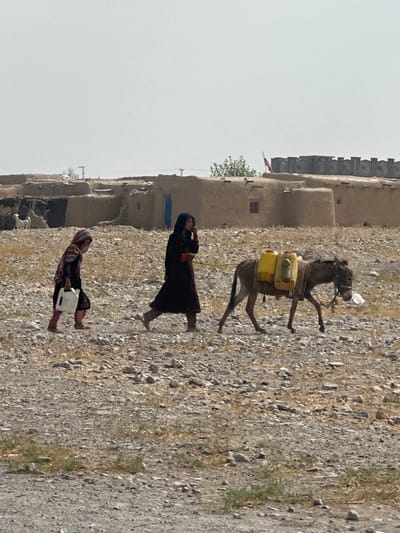 In Bostan, Pakistan, two individuals, a woman and a younger child, are walking through a dusty, rocky terrain. The woman, wearing a dark robe and headscarf, walks slightly ahead and to the right. The child, dressed in colorful patterned clothing and a headscarf, walks to the left of the woman, carrying a white plastic container. A donkey, laden with two large yellow jerrycans and a smaller green one, follows behind the woman, led by a rope. In the background, a cluster of simple, mud-brick structures, typical of rural villages, are visible. A flag flies from one of the buildings, and a goat stands near a doorway. The sky is a pale, hazy white, suggesting a bright, possibly hot, day.