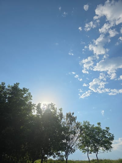 The image depicts a bright, clear blue sky with scattered white clouds in the upper right quadrant. The sun is partially obscured by the lush green foliage of several trees silhouetted against the sky in the lower portion of the frame. The trees are positioned on a grassy incline, suggesting an outdoor setting, possibly a park or a natural landscape. The overall impression is one of a sunny day with a gentle breeze creating movement in the clouds. There are no people or animals visible in the image. The location is identified as Ir, Russia, though specific landmarks or contextual clues for this location are not evident within the image itself.