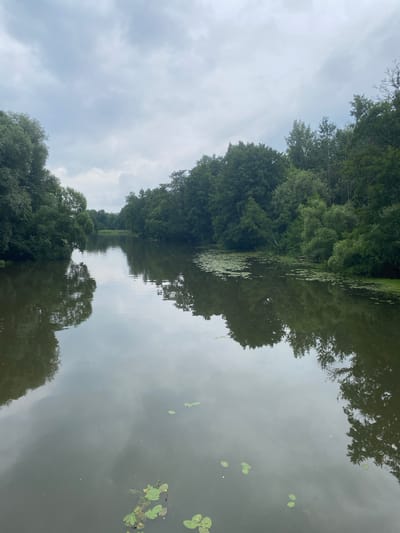 A photograph captures a serene natural scene of a calm river flowing through a dense forest under a cloudy sky. The river's surface reflects the surrounding trees and the overcast sky, creating a mirror-like effect. Lily pads dot the water, adding to the tranquil ambiance. The image likely depicts a location in or around Karabanovo, Russia, given the context of the query.