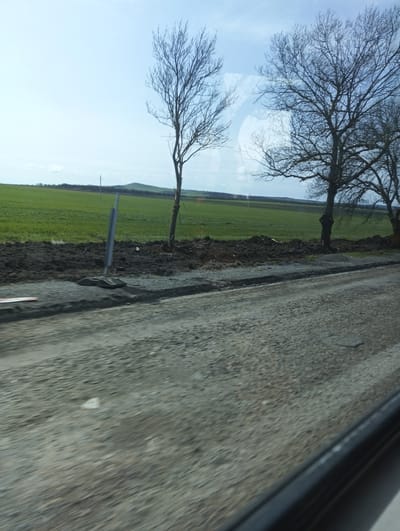 The image depicts a rural roadside scene, likely taken from a moving vehicle. The location is possibly near Sokolovo, Bulgaria, based on the request. In the foreground is a gray, gravel road. Beside the road is a narrow strip of dark soil, bordering a green field that stretches into the distance. Bare trees are scattered along the roadside and the edge of the field. A small hill is visible in the distance. A reflective sign post stands near the road. The sky is pale blue with a few clouds. The overall scene appears somewhat blurred, suggestive of motion.