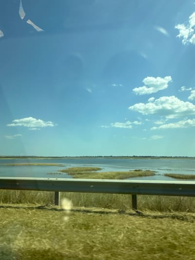 The image depicts a wide expanse of water, possibly a lake or marshland, under a clear blue sky dotted with white cumulus clouds. The water is calm and reflects the sky, with patches of dry, golden grass emerging from it in various sizes. A horizontal metal guardrail is visible in the foreground, separating the viewer from the grassy embankment that slopes down towards the water. The grass is dry and yellowish-green, indicating a potentially arid or late-season landscape. The overall impression is one of a natural, open environment, possibly viewed from a roadside. No specific geographical features or landmarks that would pinpoint the location within Koshary, Ukraine, are identifiable.