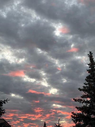 A dramatic sunset over Balabanovo, Russia is captured in this image. The sky is filled with a thick layer of dark, ominous clouds, illuminated from below by the vibrant hues of a setting sun. Streaks of pink and orange light break through the clouds, creating a striking contrast against the somber gray. In the foreground, the dark silhouettes of evergreen trees and the edge of a building are visible, framing the breathtaking celestial display.