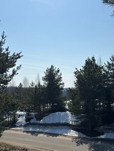 The image depicts a rural or semi-rural landscape in Voksherino, Russia, under a clear, light blue sky with a faint aircraft contrail visible. The scene is dominated by a dense forest composed primarily of dark green conifer trees, likely pines, intermingled with bare deciduous trees. In the midground, a sloping embankment covered in significant patches of melting snow and exposed dark brown earth runs parallel to a paved road in the foreground. Shadows from the trees are cast across the snow and the dry, grey asphalt road, which appears to be two lanes wide and is devoid of any vehicles or discernible markings. No individuals or animals are present. The environment suggests an early spring transition period.