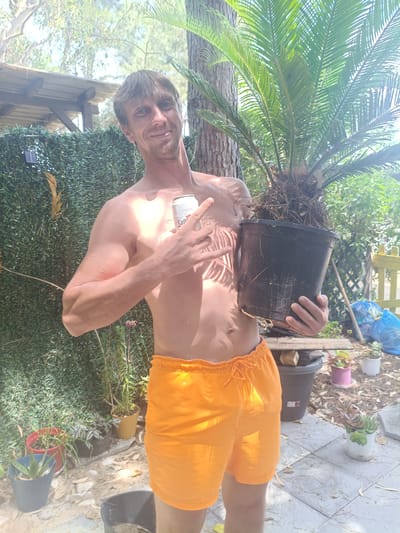A man stands outdoors in what appears to be a garden or yard, holding a potted plant and a can of San Miguel beer. He is wearing orange swim trunks. The man is fair-skinned with light brown hair and blue eyes, and he is smiling at the camera. The potted plant is a cycad, with large green fronds. In the background, there is a hedge, a wooden structure, and other potted plants. The scene is brightly lit by sunlight, suggesting it is daytime. The environment appears to be rustic and possibly Mediterranean, with dry soil and sparse vegetation. Based on the context provided, the location is Almardà, Spain.