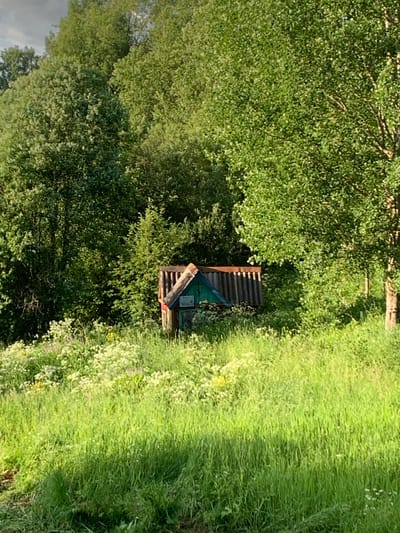 In the village of Svyatitsa, Russia, a small, weathered wooden structure stands amidst a lush, sunlit meadow. The structure appears to be a shrine or small chapel, with a pitched roof covered in corrugated metal. The walls are partially visible, showing remnants of red and teal paint, and a cross is affixed to the front gable. The immediate area around the structure is overgrown with tall green grass and an abundance of white wildflowers. In the background, dense green trees form a natural wall, with sunlight dappling through their leaves. The sky above is a muted gray with hints of white clouds. No people are present in the scene.