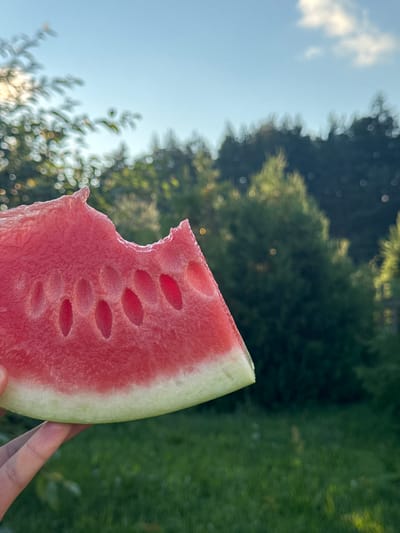 A slice of watermelon is held in a hand in the foreground against a blurred background of trees and a blue sky. The watermelon slice is pink with visible seeds and a white rind. The hand is visible at the bottom left of the image, with fingers gently supporting the fruit. The background shows lush green grass and trees, suggesting an outdoor setting, possibly in a park or garden. The sky is partly cloudy and a bright blue. The image was taken in the Nemyanski Sel'sky Soviet, Belarus.