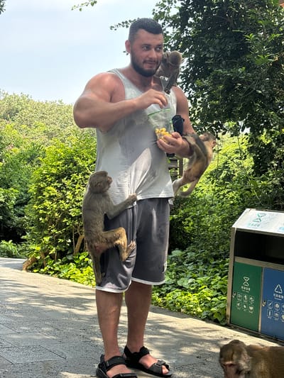In Nanwan Village, China, a muscular man wearing a grey tank top and grey shorts stands on a paved path, holding a clear plastic container filled with yellow food. Several monkeys are interacting with him. One monkey is perched on his left shoulder, another is clinging to his right leg, and a third is hanging from his outstretched right arm, attempting to get food from the container. The man is looking to his right with a slight smile. The background consists of lush green foliage and trees. To the right of the man, there is a two-compartment recycling bin. The sky is visible above the trees, and sunlight is casting shadows on the path.