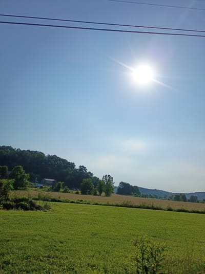 The image depicts a sun-drenched rural landscape. The sky is a clear, bright blue with a prominent sun shining from the upper right quadrant, casting rays across the scene. Two dark utility wires are visible stretching horizontally across the top of the frame.

The foreground is dominated by a neatly mown green field, with a slightly less manicured patch of vegetation on the left. Beyond this field, a gentle slope rises, covered with a dense, dark green forest. Nestled within the trees on the slope, a building with a reddish-brown roof is partially visible, along with what appears to be a white structure and a vehicle. Further back, rolling hills fade into the distance under a hazy sky.

The overall impression is one of a peaceful, sunny day in a natural setting, likely in a rural area of Berea, United States. There are no people or animals clearly visible in the image. The environment is characterized by open fields, wooded hills, and a clear sky.