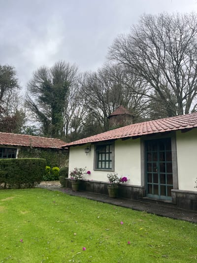 This image depicts a tranquil outdoor scene in Huasca de Ocampo, Mexico, under an overcast sky. The foreground features a well-maintained green lawn with scattered purple flower petals. To the right, a light-colored building with a terracotta tiled roof stands prominently. This building has a dark-framed window with multiple panes and a dark green double door, also with multiple panes, framed by a dark stone surround. A black metal wall lantern is mounted above the window. Two dark pots containing flowering purple bougainvillea plants are positioned along the building's dark stone base. A narrow, dark stone path runs along the building's edge.
In the mid-ground, to the left, another building with a similar terracotta tiled roof is partially visible. Its walls are covered in green vines, and a dark-framed window is discernible. A trimmed green hedge is positioned in front of this structure. Further in the background, a round stone tower with a conical terracotta tiled roof emerges amidst dense vegetation.
The background is dominated by a multitude of tall, bare deciduous trees, indicative of a dormant season, against a light grey, cloudy sky. No individuals, animals, or direct actions or interactions are visible in the scene.