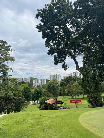 The image displays an outdoor, daytime scene of a golf course situated in Floridablanca, Colombia, identified by the urban backdrop consistent with the Club Campestre de Bucaramanga.
In the immediate foreground, manicured green grass, indicative of a golf course fairway and putting green, dominates the lower portion of the frame. A large, mature tree with dark green foliage and vines ascending its trunk stands on the right, extending out of the frame at the top. Another large tree is partially visible on the left edge.
The midground features a rolling golf course landscape with various trees, including a section of fairway. A small, rustic wooden structure with a brown tiled roof, resembling a shelter or kiosk, is visible towards the center-right. To the left of this structure, a dark body of water, consistent with a pond or water hazard, is present. A red banner sign, mounted on a pole, displays white text that appears to read "Iroguard Camara."
The background reveals a cityscape characterized by numerous multi-story buildings, predominantly light-colored high-rise apartment blocks, interspersed with green hills and additional tree lines. The sky overhead is heavily overcast with uniform gray cloud cover. No individuals or specific actions are discernible within the scene.