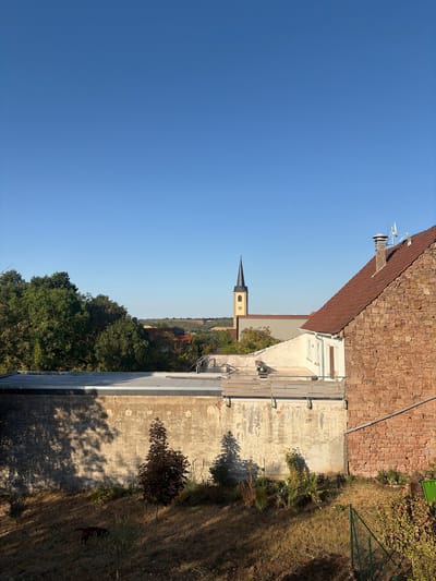 The image depicts a view from a raised vantage point, looking over rooftops and trees towards a distant church with a tall steeple. The foreground features a dry, grassy slope with scattered bushes and a dark-colored dog in the lower left corner. A concrete wall with a flat roof extends across the mid-ground, casting shadows from overhead trees. To the right, a building constructed of reddish-brown stone with a tiled roof is prominently visible. In the background, a church steeple rises above other buildings and a lush green canopy of trees. The sky is clear and blue. The scene appears to be in a rural or semi-rural area. This location is likely in or near Kirchheimbolanden, Germany, as indicated by the presence of a church steeple characteristic of European villages and towns.