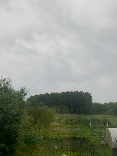 The image depicts a cloudy, overcast sky above a rural landscape. In the foreground, lush green foliage and trees dominate the left side of the frame, with a garden area visible in the lower right. The garden contains rows of plants, including what appear to be onions and other vegetables, as well as a greenhouse structure. A dirt mound is present in the middle ground. Behind the garden, a fence runs horizontally across the image, separating it from a dense line of tall, dark green trees, likely a forest, that stretches across the mid-ground and extends into the background. Power lines are visible in front of the treeline. The overall scene suggests a garden plot or small farmstead in a rural or semi-rural setting. The location is identified as being in the village of Карманово, Russia. There are no people or animals visible in the image.
