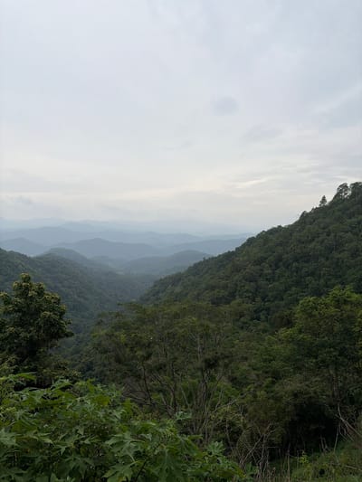 This is a vertical, medium-shot, eye-level photograph taken from a viewpoint looking out over a series of rolling, densely forested hills. The image is dominated by lush green foliage. In the foreground, large, broad green leaves of a plant are visible. Behind this, the scene opens up to reveal a valley with a river winding through it, bordered by more trees. Further in the distance, layers of mountains fade into a hazy, overcast sky. The overall mood is serene and natural, suggesting a location within a mountainous, tropical region. The specific location is described as being in the city of Samoeng Tai, Thailand. There are no people or animals visible in the image.